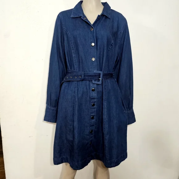 Classic Long Sleeve Denim Dress - Picture 1 of 12